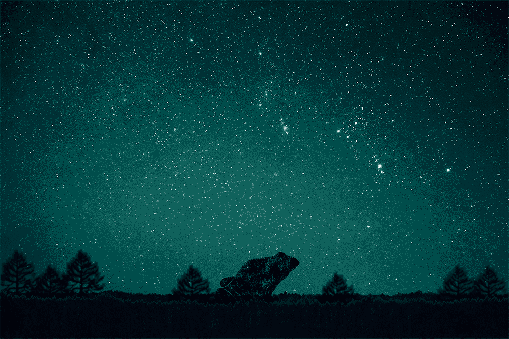 froggy-1